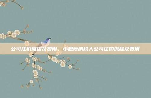 公司注销流程及费用,小规模纳税人公司注销流程及费用