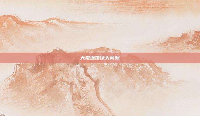 天视通摄像头商标