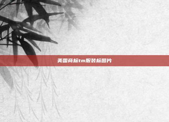 美国商标tm服装标图片