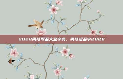 2022男孩取名大全字典,男孩起名字2020