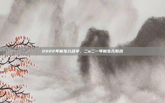 2022年新生儿名字,二o二一年新生儿取名