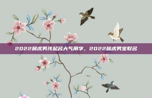 2022属虎男孩起名大气用字,2022属虎男宝取名