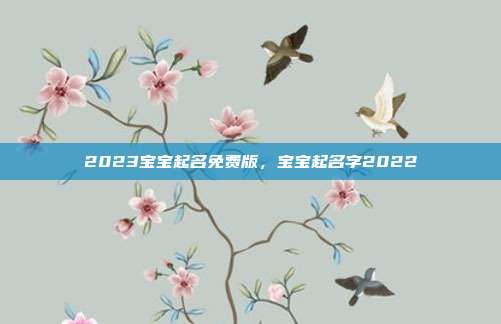 2023宝宝起名免费版，宝宝起名字2022