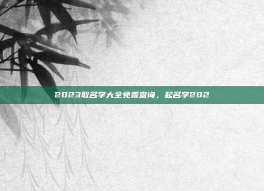 2023取名字大全免费查询,起名字202