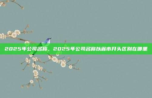 2025年公司名称,2025年公司名称以省市开头区别在哪里