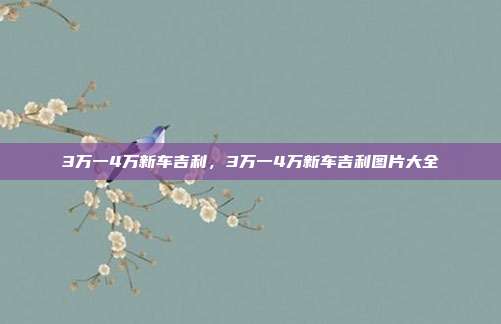 3万一4万新车吉利,3万一4万新车吉利图片大全