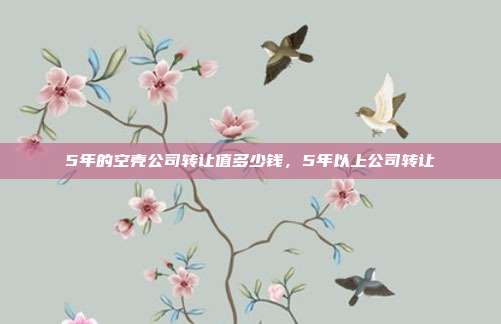 5年的空壳公司转让值多少钱,5年以上公司转让