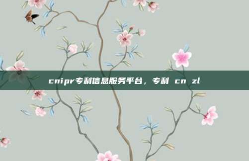 cnipr专利信息服务平台,专利 cn zl