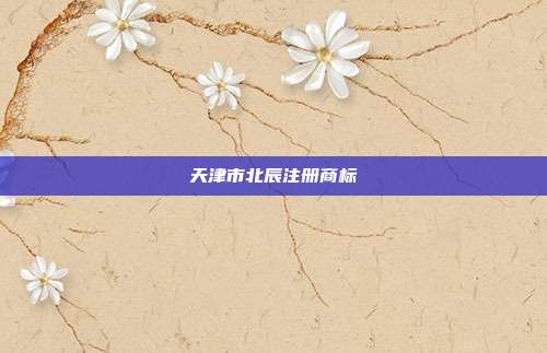 天津市北辰注册商标
