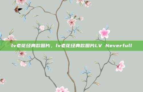 lv老花经典款图片,lv老花经典款图片LV Neverfull