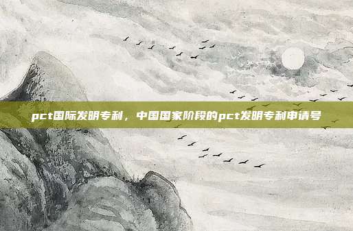 pct国际发明专利,中国国家阶段的pct发明专利申请号