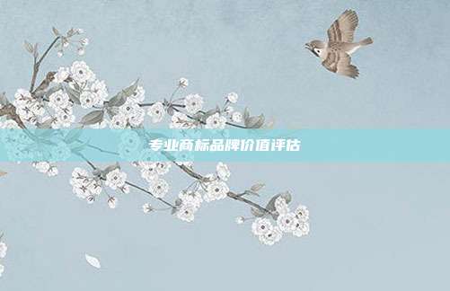 专业商标品牌价值评估