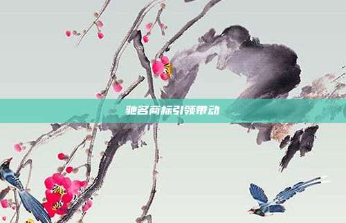 驰名商标引领带动