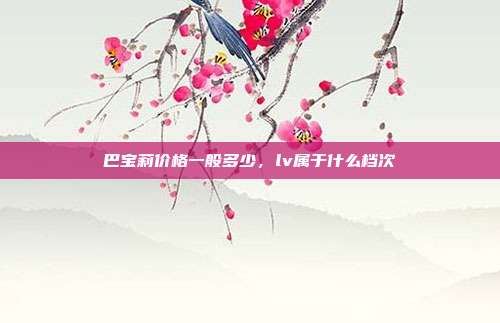 巴宝莉价格一般多少,lv属于什么档次