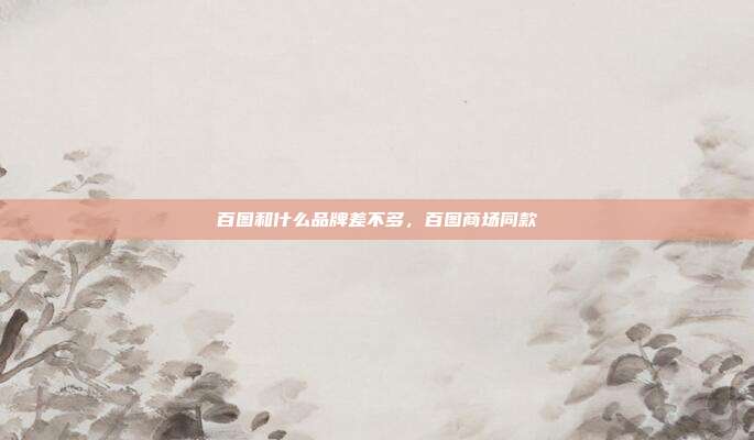 百图和什么品牌差不多,百图商场同款