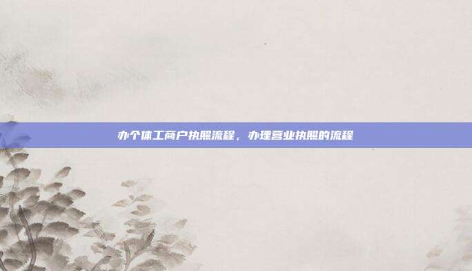 办个体工商户执照流程,办理营业执照的流程