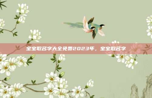 宝宝取名字大全免费2023年,宝宝取名字