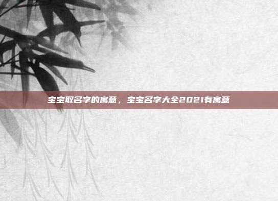 宝宝取名字的寓意,宝宝名字大全2021有寓意