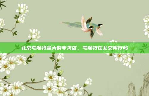 北京考斯特最大的专卖店,考斯特在北京限行吗