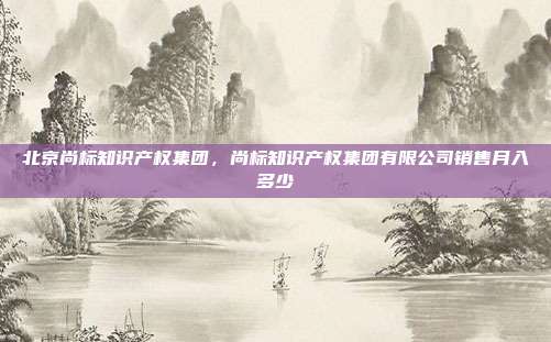 北京尚标知识产权集团,尚标知识产权集团有限公司销售月入多少
