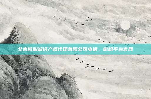 北京微税知识产权代理有限公司电话,微税平台官网