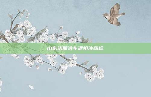 山东洁朋洗车泥抢注商标