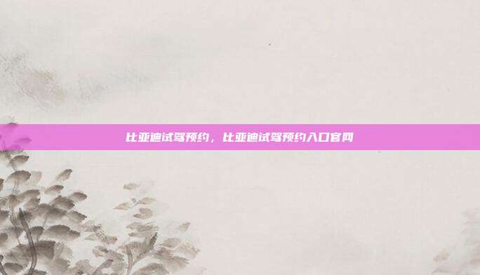 比亚迪试驾预约,比亚迪试驾预约入口官网