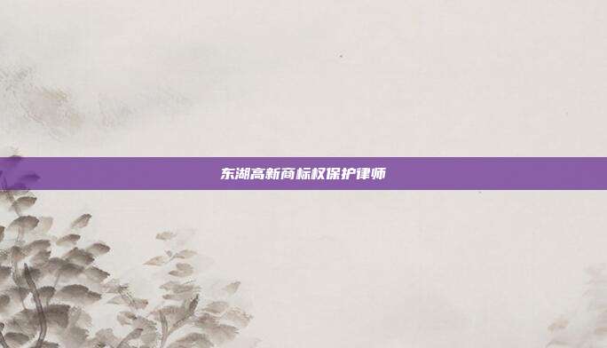 东湖高新商标权保护律师