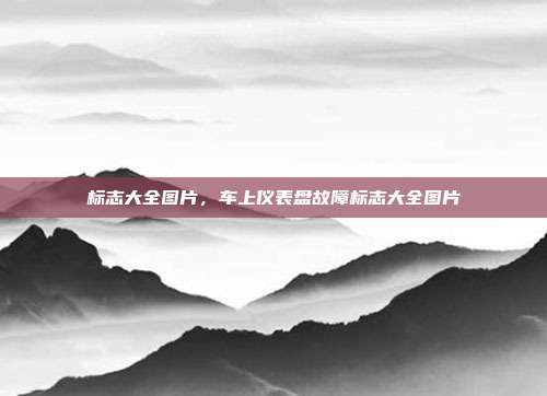 标志大全图片,车上仪表盘故障标志大全图片