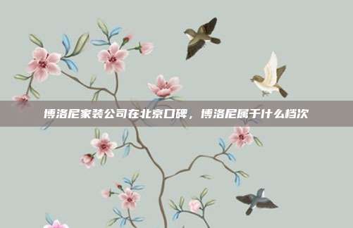博洛尼家装公司在北京口碑,博洛尼属于什么档次