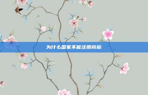 为什么国家不能注册商标