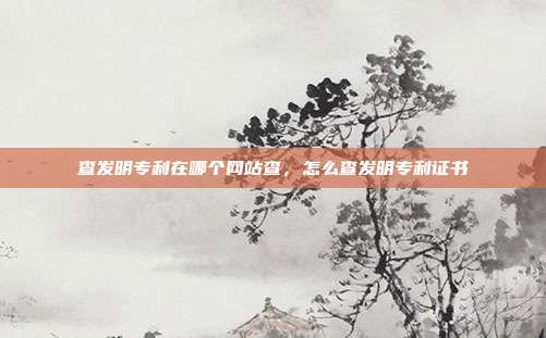 查发明专利在哪个网站查,怎么查发明专利证书