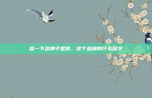 查一下这牌子是啥,这个品牌叫什么名字