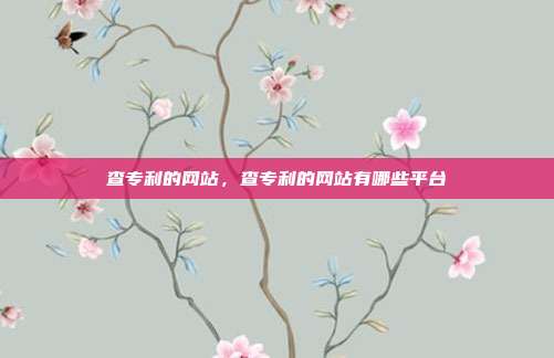 查专利的网站,查专利的网站有哪些平台