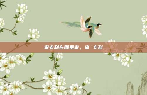 查专利在哪里查,查 专利