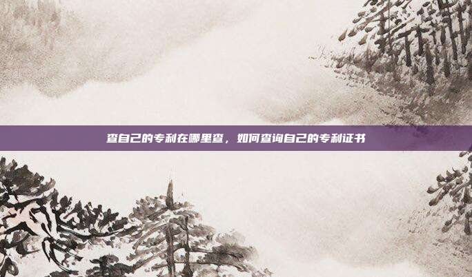 查自己的专利在哪里查,如何查询自己的专利证书