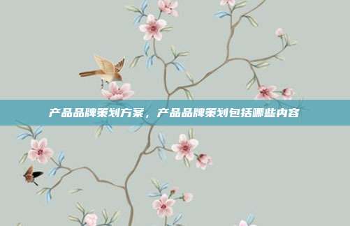 产品品牌策划方案,产品品牌策划包括哪些内容