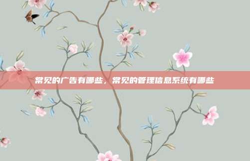 常见的广告有哪些,常见的管理信息系统有哪些