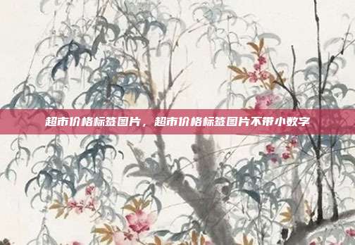 超市价格标签图片,超市价格标签图片不带小数字