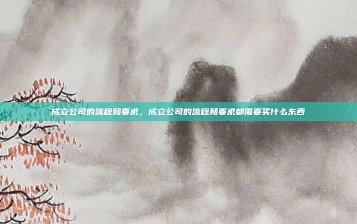 成立公司的流程和要求,成立公司的流程和要求都需要买什么东西