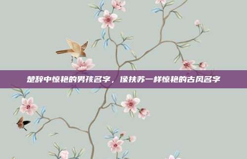 楚辞中惊艳的男孩名字,像扶苏一样惊艳的古风名字