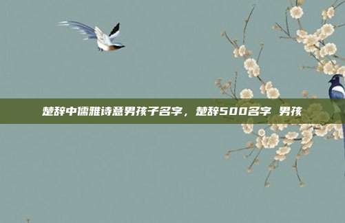 楚辞中儒雅诗意男孩子名字,楚辞500名字 男孩