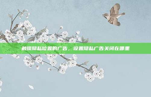 触摸隐私位置的广告,设置隐私广告关闭在哪里