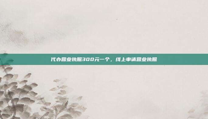 代办营业执照300元一个,线上申请营业执照