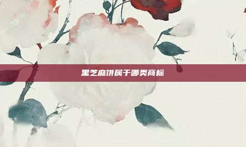 黑芝麻饼属于哪类商标