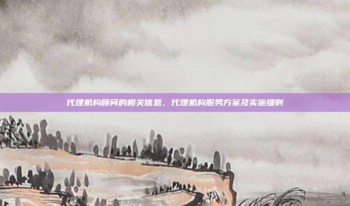 代理机构顾问的相关信息,代理机构服务方案及实施细则