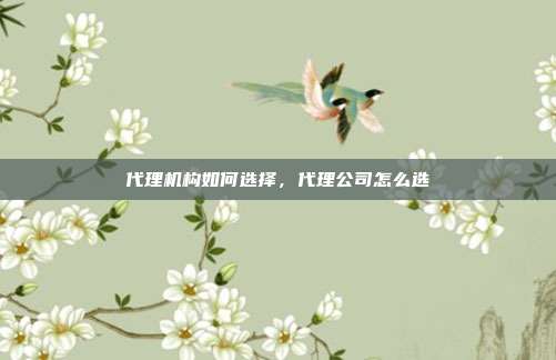 代理机构如何选择,代理公司怎么选