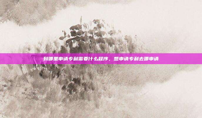 到哪里申请专利需要什么程序,想申请专利去哪申请