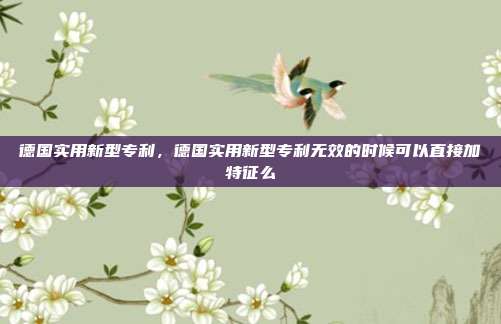 德国实用新型专利,德国实用新型专利无效的时候可以直接加特征么