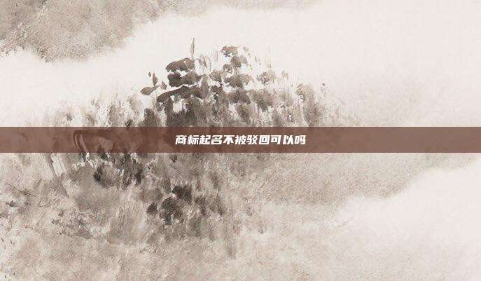 商标起名不被驳回可以吗